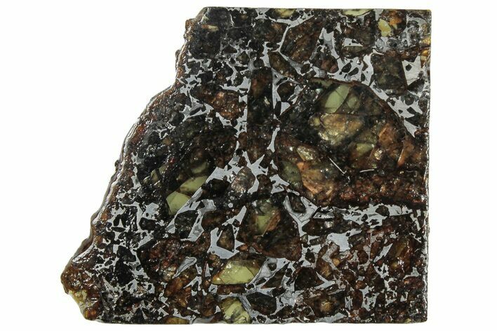 Polished Admire Pallasite Meteorite ( g) Slice - Kansas #307330